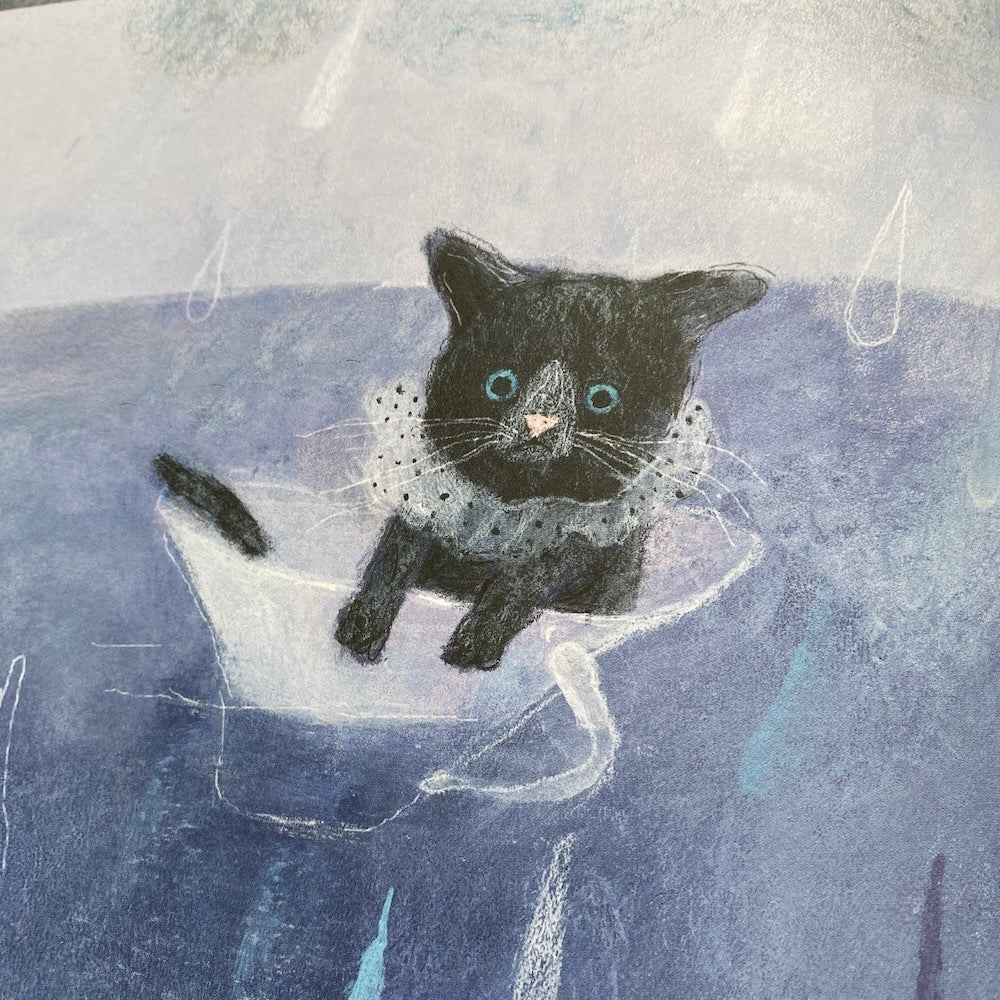 What A Small Cat Needs